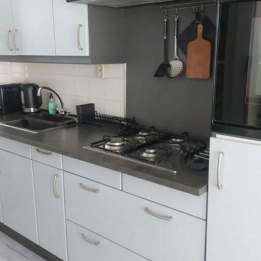 Daire Appartement Het Muiltje & Free Parking Zandvoort